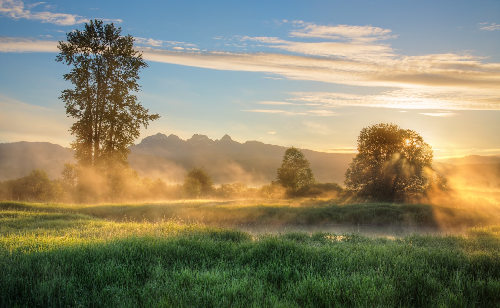 Weite Morgenwiese im warmen Sonnenlicht